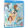 Your Lie in April - Part 1 (12) Blu-Ray