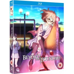 Beyond the Boundary -...