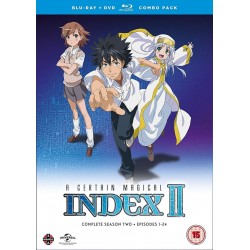 A Certain Magical Index...