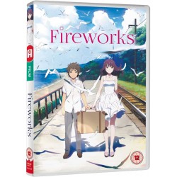 Fireworks (15) DVD