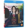 copy of The Case of Hana & Alice (12) DVD