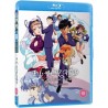 El-Hazard: The Magnificent World OVAs 1+2 - Standard Edition (15) Blu-Ray