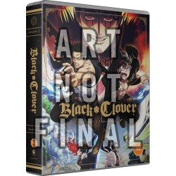 copy of Black Clover Season 2 Part 1 (12) DVD