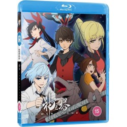 copy of Code Geass: Lelouch of the Resurrection - Collector's Edition Combi (15) BD/DVD